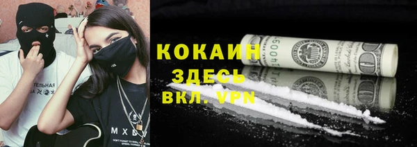 дурь Алексин