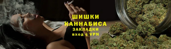 гашик Пестово