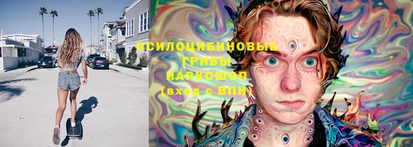 СК Абинск