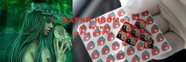 дурь Алексин