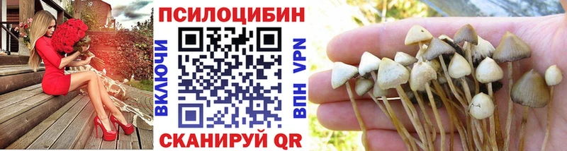 Галлюциногенные грибы мицелий  Чебаркуль 